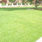 projekty ogrodw Chojnice